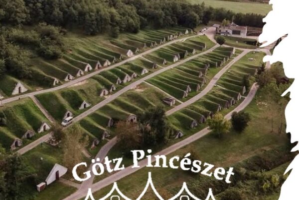 Hercegkút, part of the UNESCO World Heritage, is home to one of the most famous wine cellar rows of Tokaj-Hegyalja Götz Pincészet Gombos-hegyi Pincesor UNESCO #ilovetokaj #tokaj #aszu www.aszu.org www.ilovetokaj.com #visittokaj www.tarcal.org www.ilovetokaj.org www.szerencs.org www.kidsdinefree.com www.kidsdinefree.net www.kidseatfreecard.com www.smartsim.cards www.smartsimusa.com www.szerencs.com www.taktik.enterprises www.tokaj.me www.travelsavings.cards www.vipshopdine.com www.shopdineplay.com www.visittarcal.com www.visittarcal.org www.maygarbor.com www.tokajbor.com www.play4lesscard.com www.taktikenterprises.com www.bugyidobo.com www.thattravelsolution.com www.st.thatravelsolution.com www.tokajwineries.com www.dine4lesscard.com #TokajAszu #hungarywines #hungarianwine #tokajwine