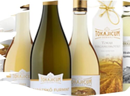 Tokajicum Borház | Tarcal Visit Tokaj and VisitTokaj.org Award winning white wines, Aszu and Eszencia #ilovetokaj #tokaj #aszu www.aszu.org www.ilovetokaj.com #visittokaj www.tarcal.org www.ilovetokaj.org www.szerencs.org www.kidsdinefree.com www.kidsdinefree.net www.kidseatfreecard.com www.smartsim.cards www.smartsimusa.com www.szerencs.com www.taktik.enterprises www.tokaj.me www.travelsavings.cards www.vipshopdine.com www.shopdineplay.com www.visittarcal.com www.visittarcal.org www.maygarbor.com www.tokajbor.com www.play4lesscard.com www.taktikenterprises.com www.bugyidobo.com www.thattravelsolution.com www.st.thatravelsolution.com www.tokajwineries.com www.dine4lesscard.com #TokajAszu #hungarywines #hungarianwine #tokajwine