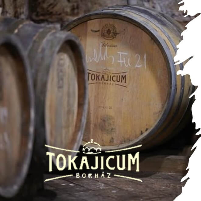 Tokajicum Borház | Tarcal Visit Tokaj and VisitTokaj.org Award winning white wines, Aszu and Eszencia #ilovetokaj #tokaj #aszu www.aszu.org www.ilovetokaj.com #visittokaj www.tarcal.org www.ilovetokaj.org www.szerencs.org www.kidsdinefree.com www.kidsdinefree.net www.kidseatfreecard.com www.smartsim.cards www.smartsimusa.com www.szerencs.com www.taktik.enterprises www.tokaj.me www.travelsavings.cards www.vipshopdine.com www.shopdineplay.com www.visittarcal.com www.visittarcal.org www.maygarbor.com www.tokajbor.com www.play4lesscard.com www.taktikenterprises.com www.bugyidobo.com www.thattravelsolution.com www.st.thatravelsolution.com www.tokajwineries.com www.dine4lesscard.com #TokajAszu #hungarywines #hungarianwine #tokajwine
